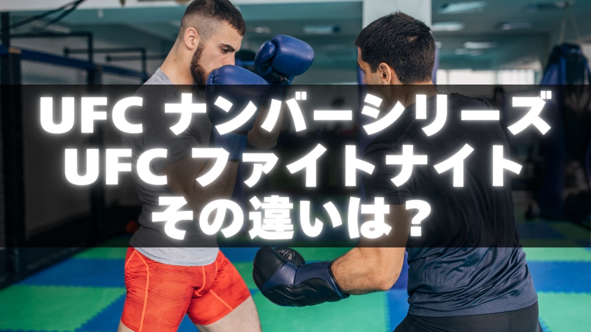 UFC ナンバーシリーズ UFC ファイトナイト その違いは？